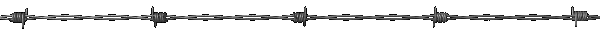 Barbed Wire Border