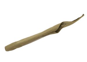 Cleaning Rod Case